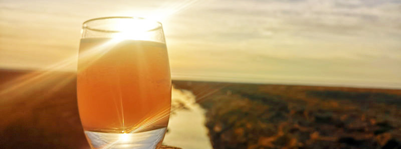Dietary Supplements - Products and Criticism FitLine Products Criticism - glass of Fitline drink