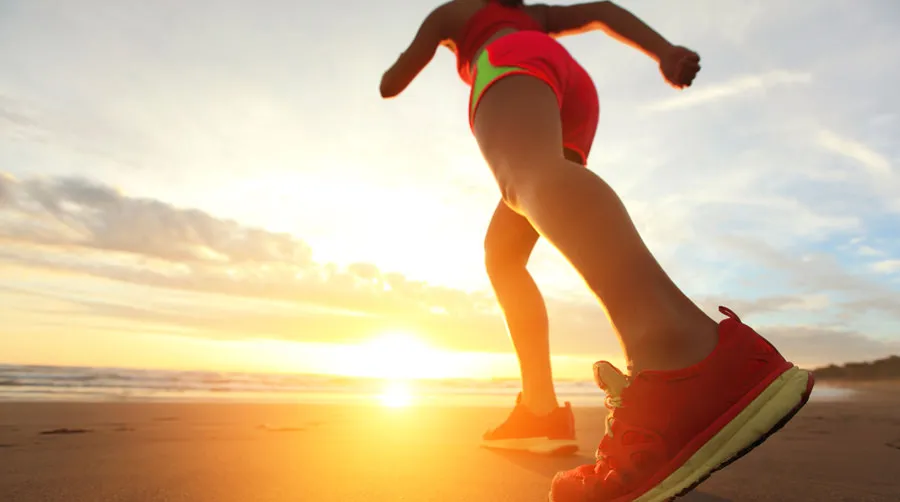 FitLine Sport - Secret of the professionals in sports