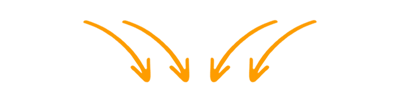 Start PM Network Marketing - the business with FitLine and PM International